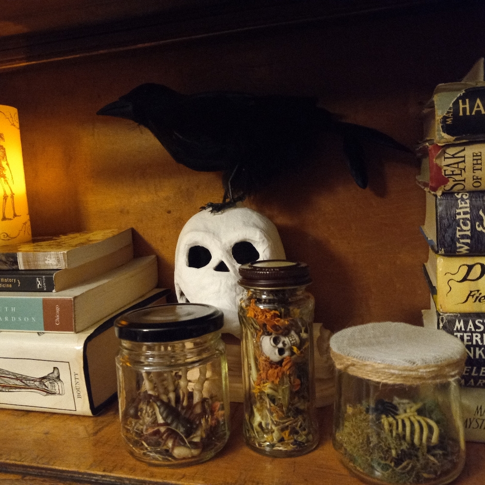 Skeletal specimen jars, set of 3, handmade - Picture 2 of 16